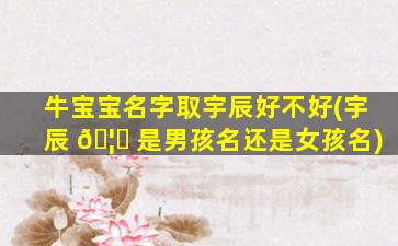 牛宝宝名字取宇辰好不好(宇辰 🦆 是男孩名还是女孩名)